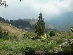Carayaca