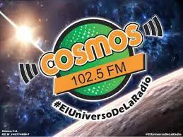 Cosmos 1025