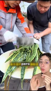 ES HORA DE SEMBRAR
