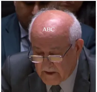 embajador de palestina