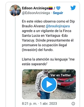 Braulio