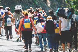 Migrantes