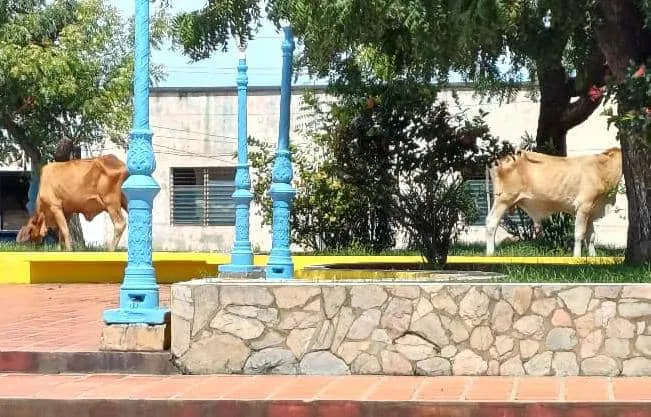 Plaza Bolivar