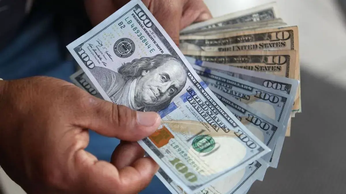 dolar web