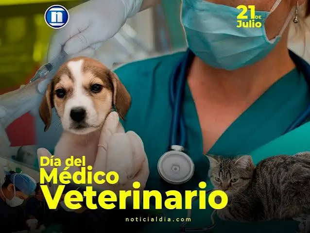 medico veterinario