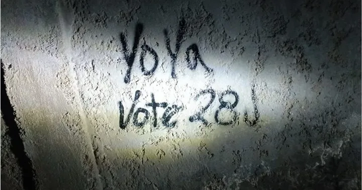 Yo-ya-vote-3