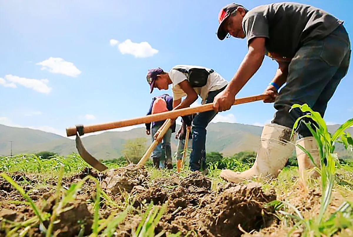 Agricultores