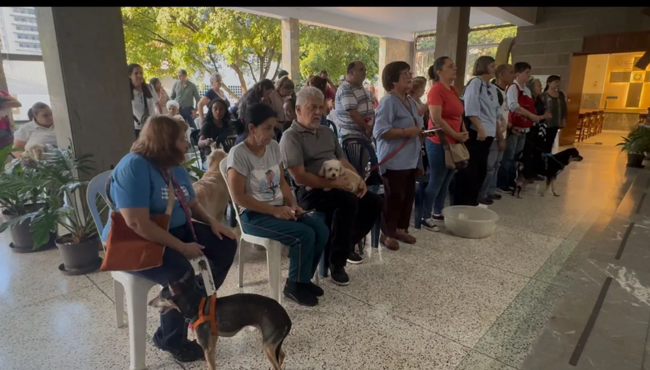 Día Mundial de los Animales