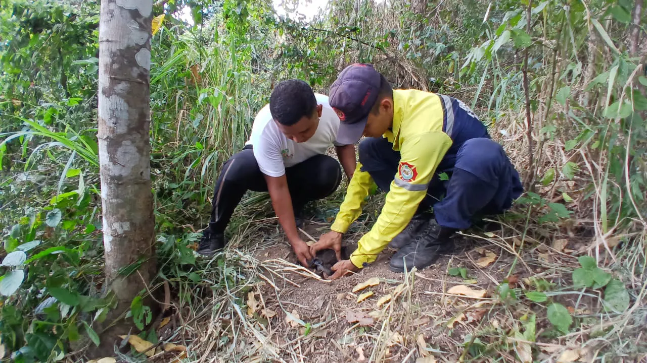 BRIGADISTAS Y VECINOS