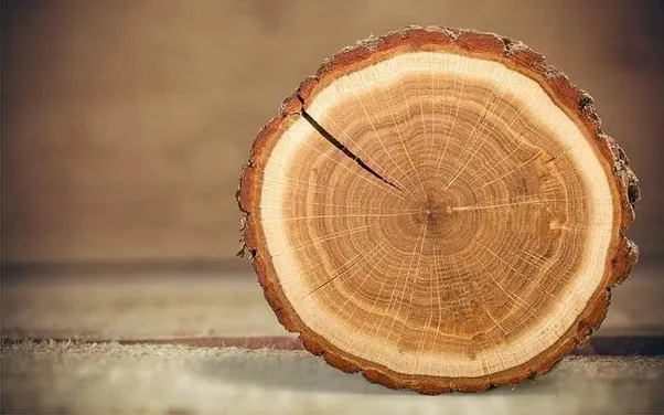 MADERA
