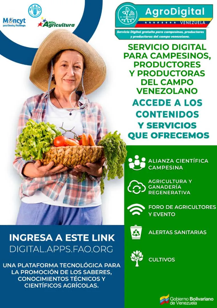 servcio1