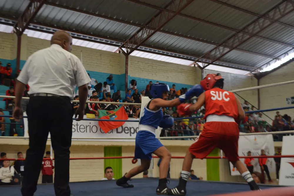 Boxeo