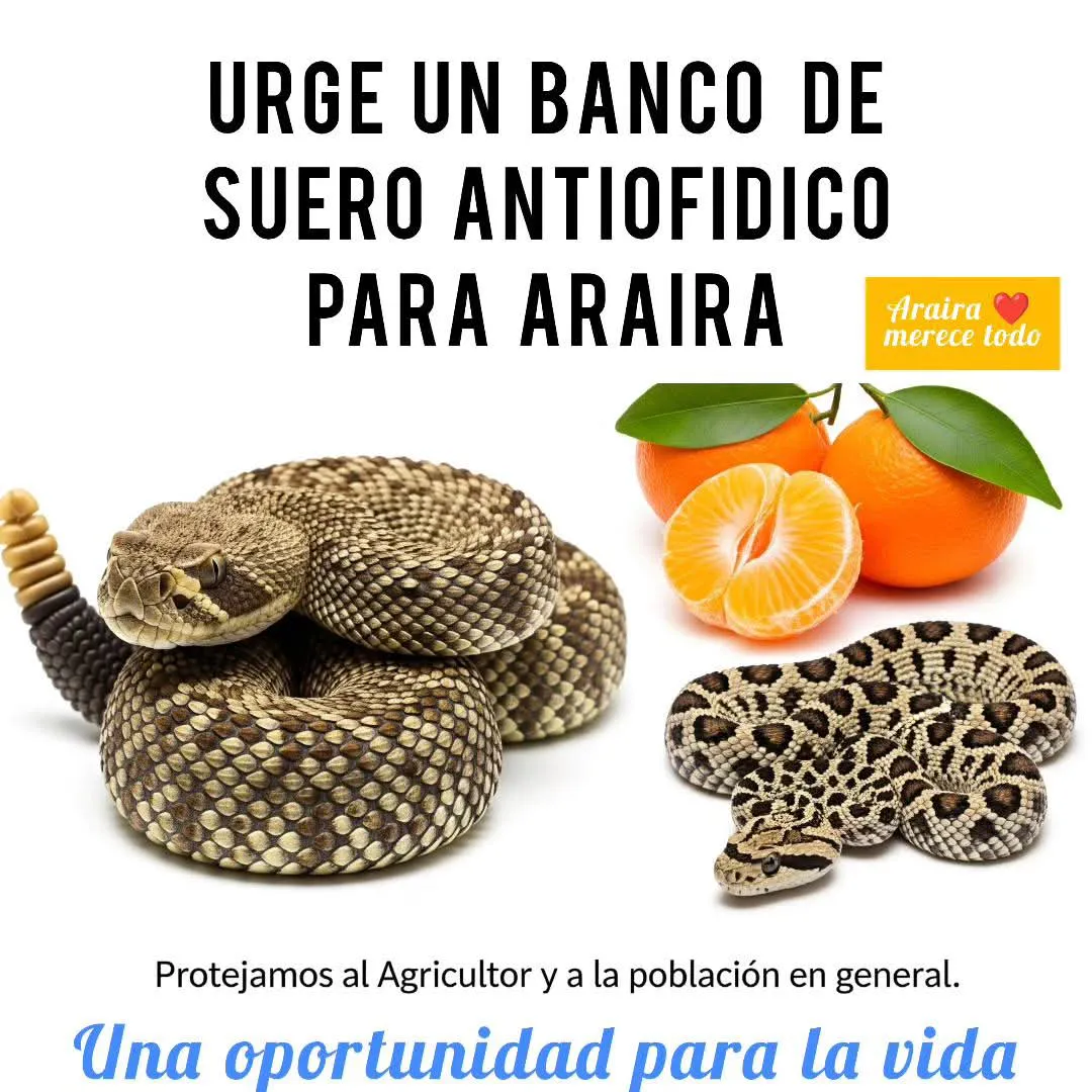 Culebras