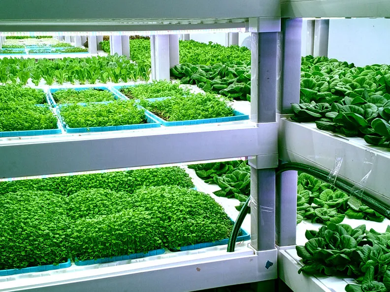 Agricultura digital
