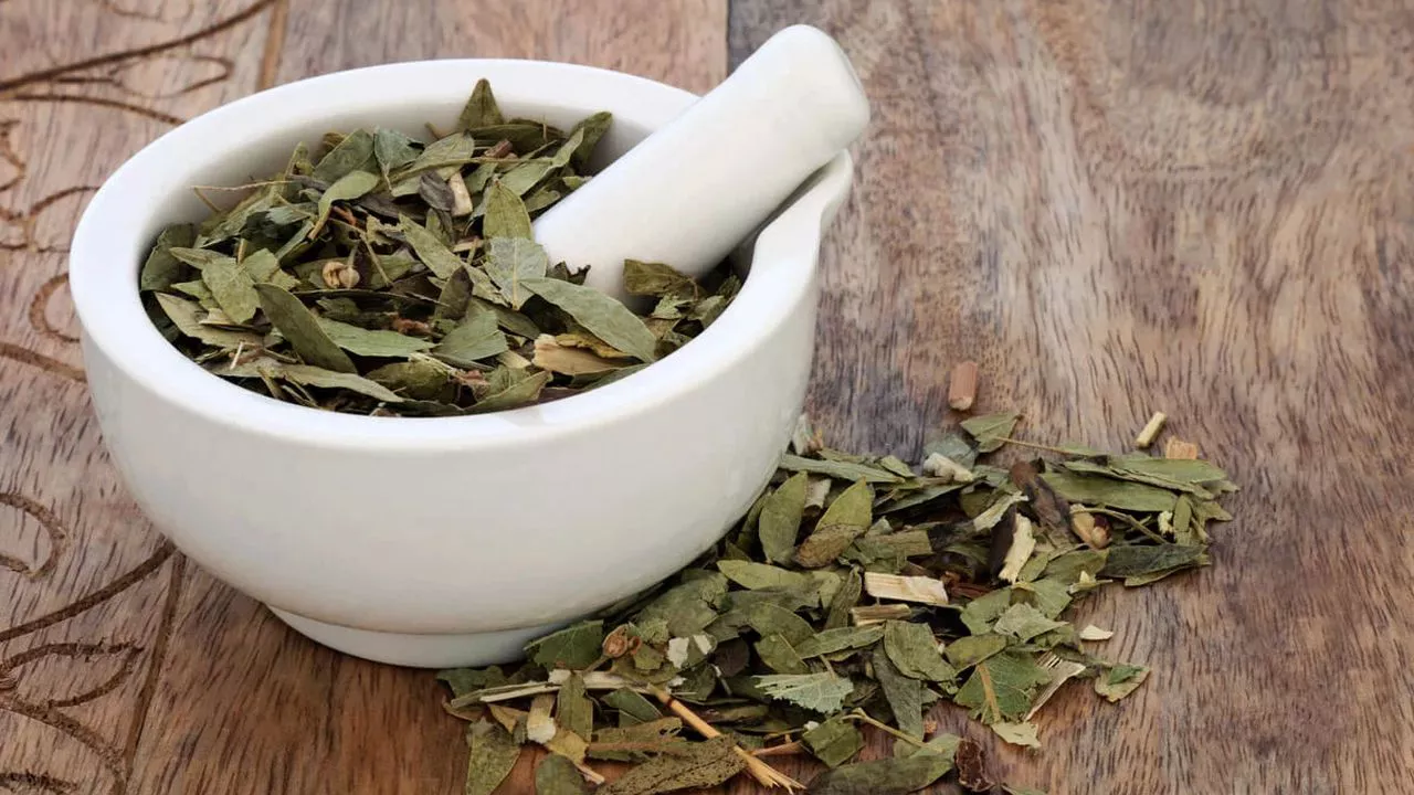 Yerba Medicinal