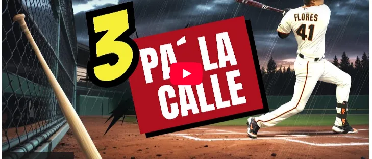 zona beisbol