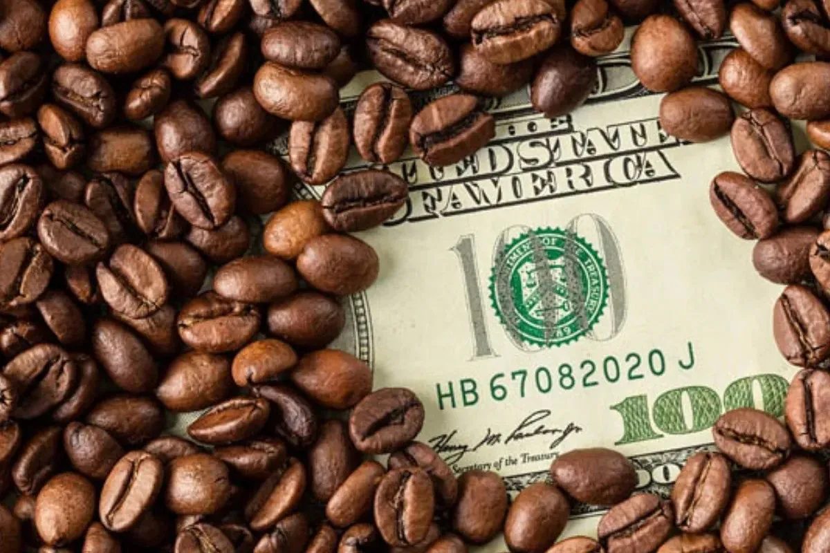 CAFE DOLAR